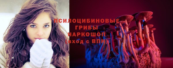 прущий лед Аркадак