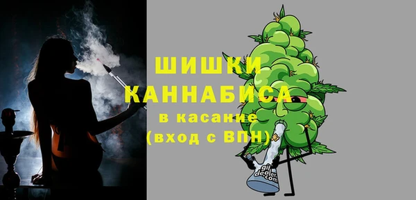 амф Арсеньев
