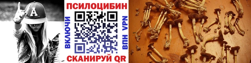 Псилоцибиновые грибы прущие грибы  Купить  Сальск 